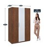 Rubix 3 Door Wardrobe in Walnut Finish