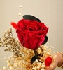 Ruby Romance Rose Bouquet