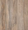 Ruchi Solid Wood Cabinet in White Colour