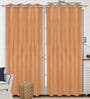 Rust Polyester Solid 7 ft Light Filtering Eyelet (Set of 2) Door Curtains