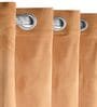 Rust Polyester Solid 7 ft Light Filtering Eyelet (Set of 2) Door Curtains