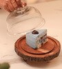 Rustic Charm Acacia Wood Cake Dome