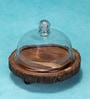 Rustic Charm Brown Acacia Wood & Glass Cake Stand with Glass Dome