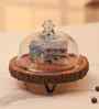 Rustic Charm Acacia Wood Cake Dome