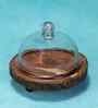 Rustic Charm Acacia Wood Cake Dome