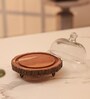 Rustic Charm Acacia Wood Cake Dome