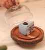 Rustic Charm Acacia Wood Cake Dome
