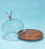 Rustic Charm Acacia Wood Cake Dome with Glass Lid & Aluminium Knob