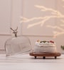 Rustic Charm Acacia Wood Cake Dome with Glass Lid & Aluminium Knob