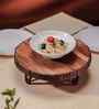Rustic Charm Vriksha Multipurpose Trivet
