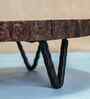 Rustic Charm Vriksha Multipurpose Trivet