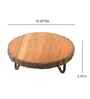 Rustic Charm Vriksha Multipurpose Trivet
