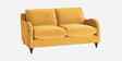 Sally Velvet 2 Seater Sofa in Turmeric Yellow Color