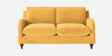 Sally Velvet 2 Seater Sofa in Turmeric Yellow Color