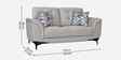 Sandora Velvet Fabric 2 Seater Sofa Set In Light Grey Colour