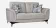 Sandora Velvet Fabric 2 Seater Sofa Set In Light Grey Colour