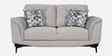 Sandora Velvet Fabric 2 Seater Sofa Set In Light Grey Colour