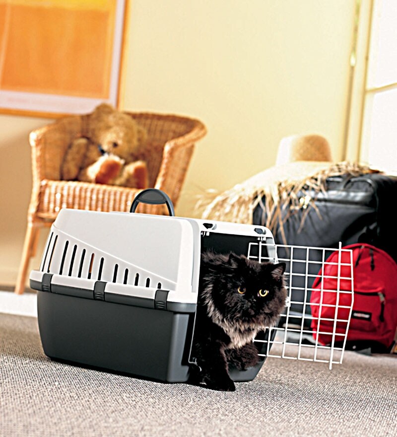 SAVIC Trotter 2 Atlantic Blue Pet Carrier