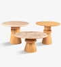 Saanra Marble Top Coffee Table Set Of 3 In Light Mango Finish