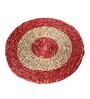 Sabai Grass Red & Brown Dish Coaster Set of 2