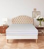 Safe Bed Ultima Cotton (78x60) Queen Size Waterproof Mattress Protector