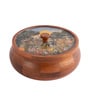 Saga Masala Box