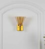Sagara Single Arm Wall Light in Brass Finish