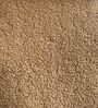 Sage Textured Organic Kids Lounge Chair In Brown Colour