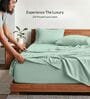 Sage Green 210 TC Cotton King Size Bedsheet with 2 Embroidered Pillow Covers
