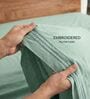 Sage Green 210 TC Cotton King Size Bedsheet with 2 Embroidered Pillow Covers