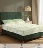 Sage Green Floral 200 TC Cotton King Sized Bedsheet with 2 Pillow Covers