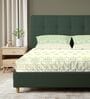 Sage Green Floral 200 TC Cotton King Sized Bedsheet with 2 Pillow Covers