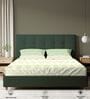 Sage Green Floral 200 TC Cotton King Sized Bedsheet with 2 Pillow Covers