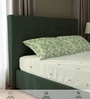 Sage Green Floral 200 TC Cotton King Sized Bedsheet with 2 Pillow Covers