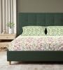 Sage Green Floral 200 TC Cotton King Sized Fitted Bedsheet with 2 Pillow Covers
