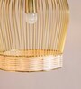 Grazia Sago Gold Iron Hanging Light