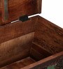 Santana Trunk in Distress Finish
