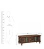 Santana Trunk in Distress Finish
