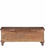 Santana Trunk in Distress Finish