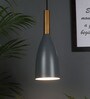 Saint-Denis Grey Aluminum Hanging Light