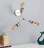 Nigella Metal Novelty Wall Light (Silver)