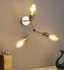 Nigella Metal Novelty Wall Light (Silver)