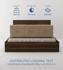 Salmacis Queen Size Bed In Walnut Finish