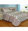 Salona Bichona 3 Double Bedsheets Set