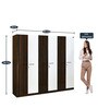 Salsa New 6 Door Wardrobe In Brown Colour