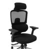 Sama Office Chair with 4D Armrests and Multi-lock mechanism in Black colour