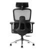 Sama Office Chair with 4D Armrests and Multi-lock mechanism in Black colour