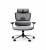 Sama Pro High Back Ergonomic Chair with Multi-Lock Mechanism and Adjustable Headrest in White&Grey Colour