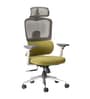 Sama Pro Korean Mesh Office Chair with Seat Slider and 4D Armrests in Green Colour
