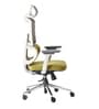 Sama Pro Korean Mesh Office Chair with Seat Slider and 4D Armrests in Green Colour